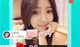 91里的直播平台,打造多元化娱乐盛宴，引领网络直播新潮流